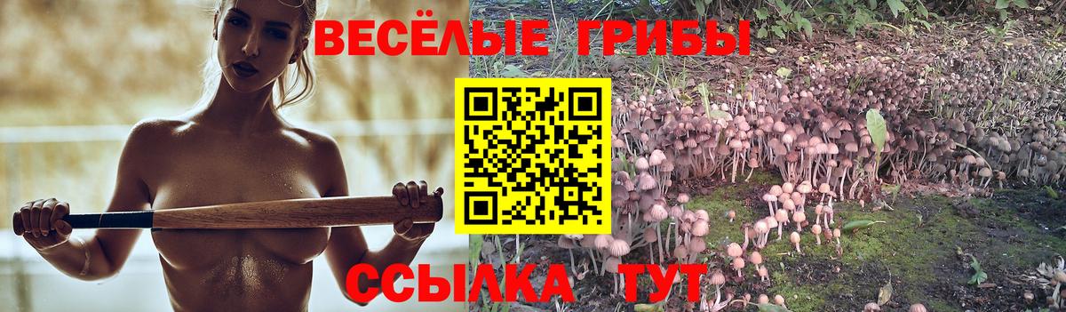 Галлюциногенные грибы ЛСД  Псилоцибиновые грибы Psilocybe  Ростов-на-Дону  что такое   Вход с VPN 